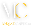 Moise cares logo